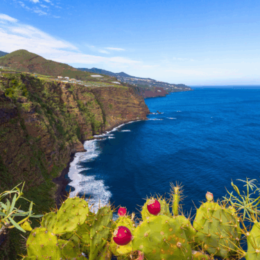 La Palma