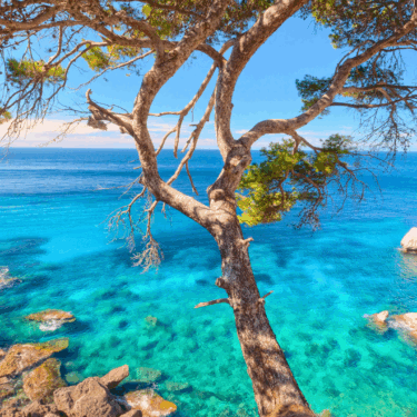 Deià